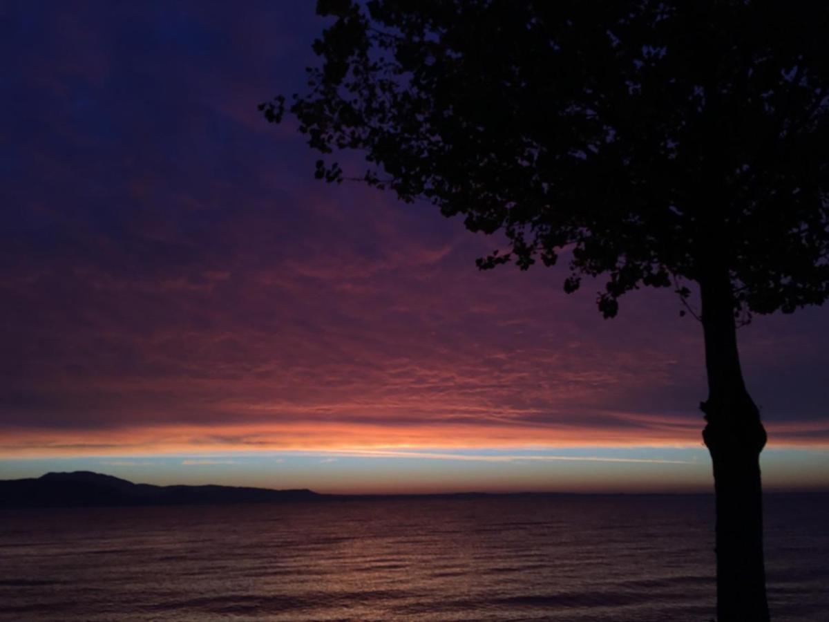 B&B Le Farfalle San Felice del Benaco Exteriér fotografie