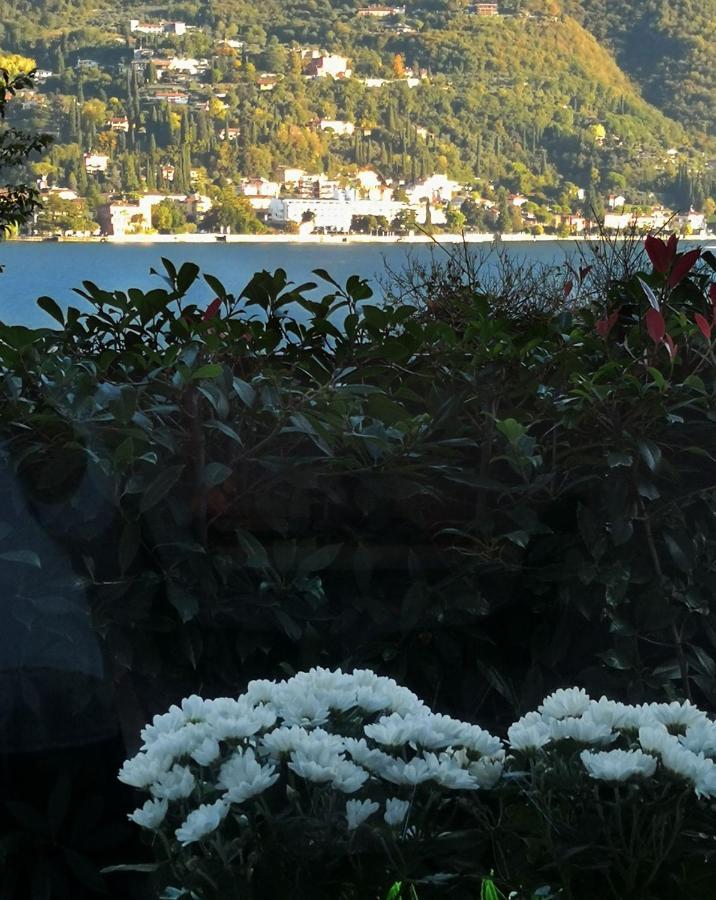B&B Le Farfalle San Felice del Benaco Exteriér fotografie